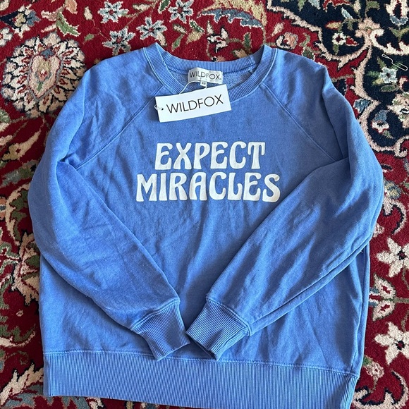 Soft blue WILDFOX Sweatshirt - Picture 2 of 9